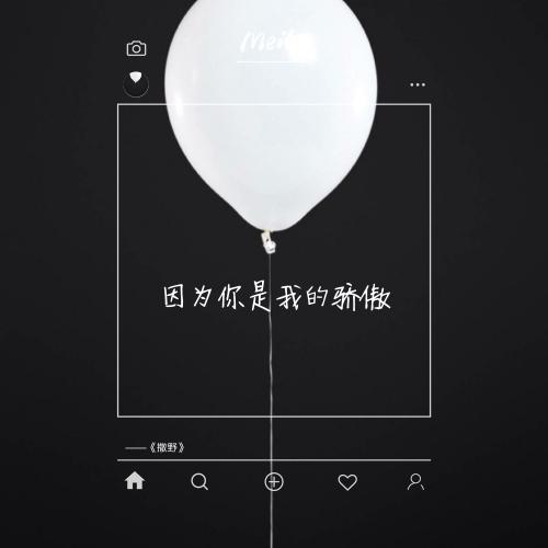 你是我的骄傲