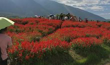 快乐的云南之旅