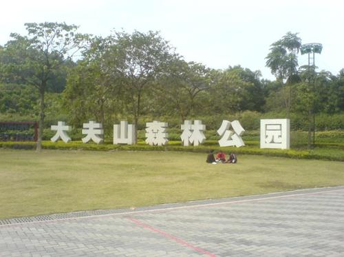 美丽的医生山
