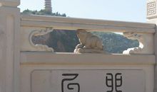 我爱十二生肖桥