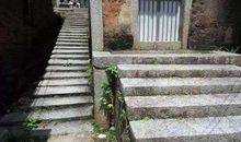 挥之不去的乡情