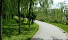 春天的滨河公园