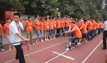 运动会拔河比赛