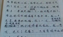 关于比赛的作文