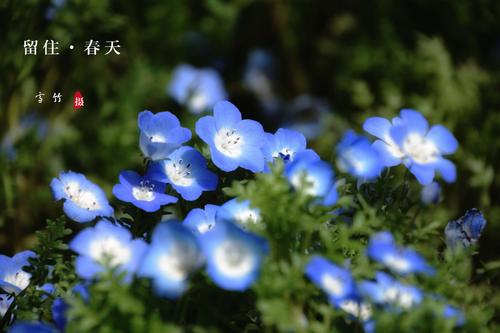保持春天