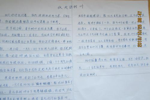 描述树的组成
