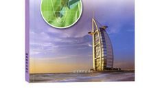 不老的亲情树读后感