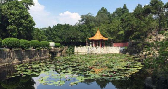 我家乡美丽的三水公园