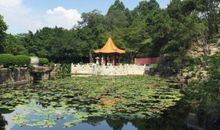 家乡美丽的三水公园