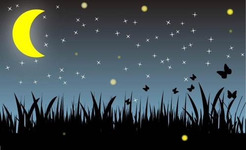 迷人的夜空