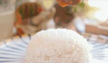 一粒米饭的自述