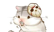 我们家的小仓鼠