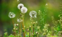 淋雨其实很快乐