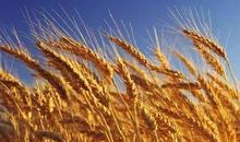 回忆也是一种收获