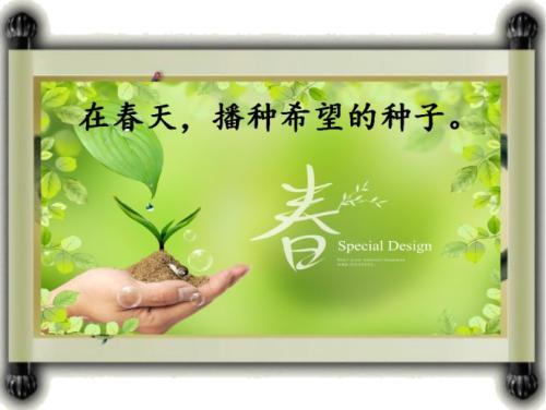 播下希望的种子