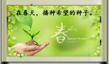 播种希望的种子