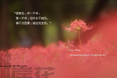 那天晚上我的心好温暖