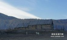 点亮生命的真情