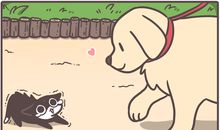 谢谢给我的温暖