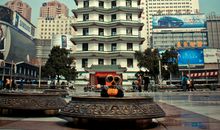 慢下来学会欣赏