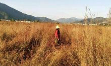 把什么当作垫脚石