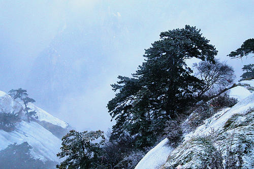 雪后的华山