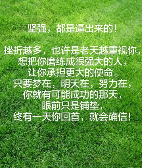 你让我知道如何坚强