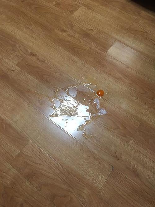 破蛋实验