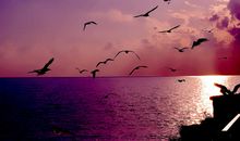 有时我也想停下脚步