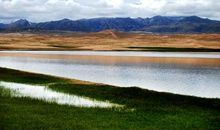 雨中的那抹风景