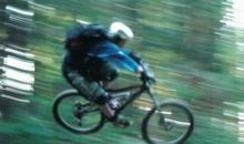 消失在记忆中的单车岁月