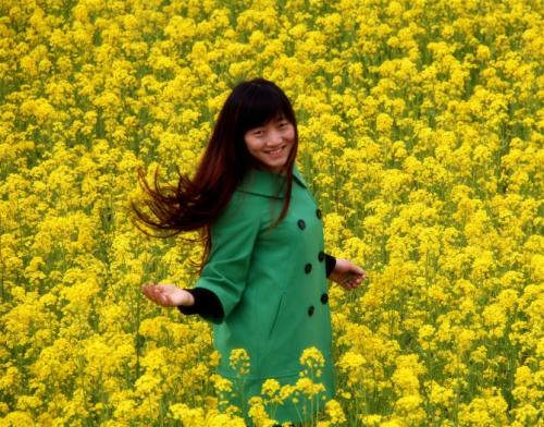 油菜春