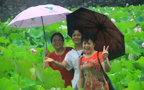 雨中的诗