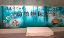 标本馆参观感悟