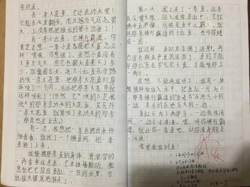 我家人的感人故事故事