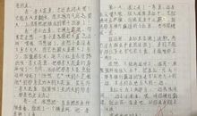 我家的感人故事作文