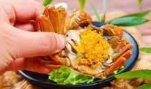 关于螃蟹的作文