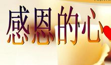 感恩父母做的一件事