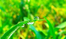 一滴露珠落在河面的过程