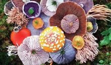 这些瞬间真美好