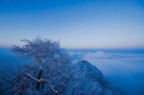 我的雪愿