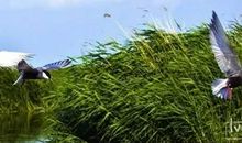 震撼我心灵的喝彩