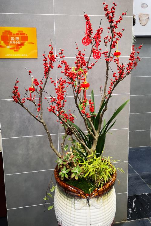 在春雨中看清一切