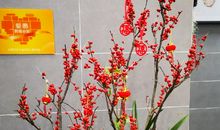 在春雨中看清一切