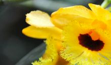 你用心中的美丽温暖了我