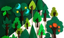 我和小树同生日