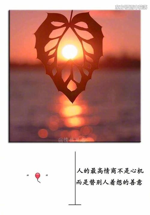 一个不错的选择