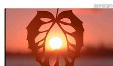 一次善意的选择