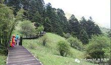 倾听大自然的旋律