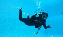 潜水的感觉真好